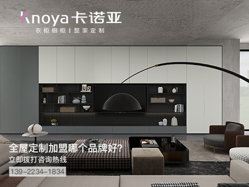 丹陽全屋定制加盟哪個品牌好?丹陽全屋定制招商加盟政策 丹陽全屋定制加盟哪個品牌好?丹陽全屋定制招商加盟政策