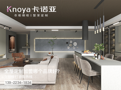 河池市全屋定制加盟哪個(gè)品牌好?